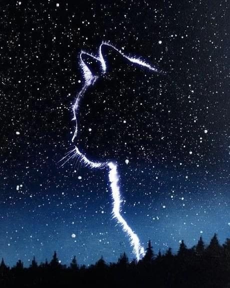 Csillagok őrzője élményfestés – Márc. 14., 09:00–12:00 - TiaDor Stúdió Debrecen